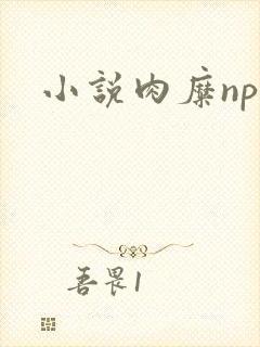 小说肉糜np