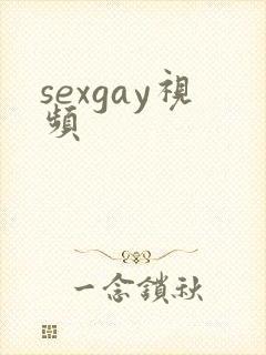 sexgay视频