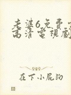 老婆6免费完整高清电视剧