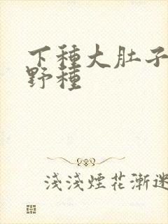 下种大肚子怀孕野种