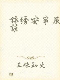 锦绣安宁原著小说封面