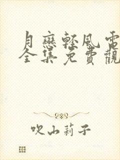 月恋轻风电视剧全集免费观看韩剧封面