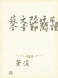 苏文陆晚风小说全章节阅读