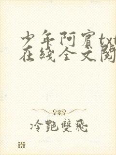 少年阿宾txt在线全文阅读封面