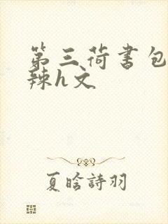 第三荷书包网高辣h文