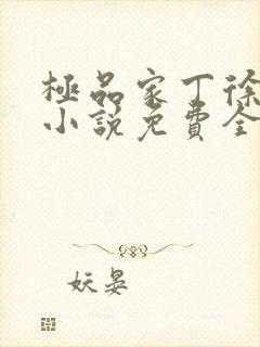 极品家丁徐芷晴小说免费全文在线