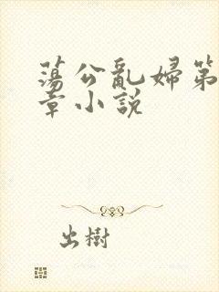 荡公乱妇第51章小说封面