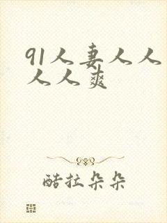 91人妻人人插人人爽