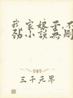 我家娘子,不对劲小说无删减版