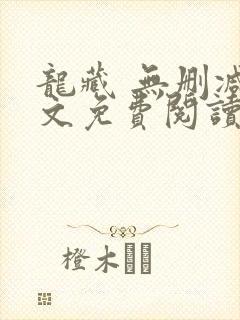 龙藏 无删减全文免费阅读