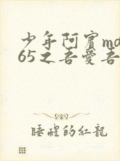 少年阿宾md165之吾爱吾师