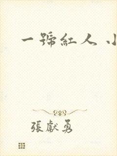 一号红人 小说