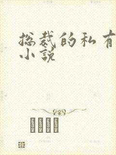 总裁的私有宝贝小说封面