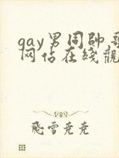 gay男同帅哥网站在线观看