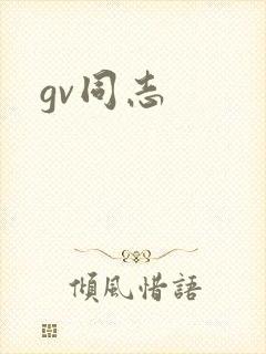 gv同志