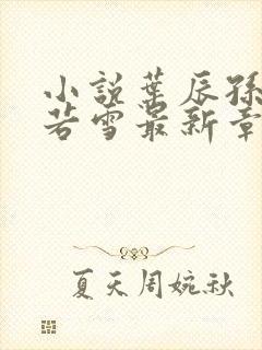 小说叶辰孙怡夏若雪最新章节阅读