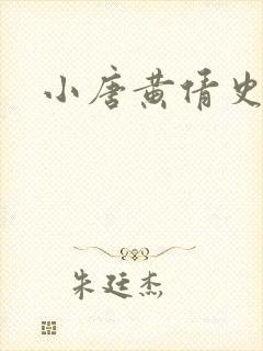 小唐黄倩史封面