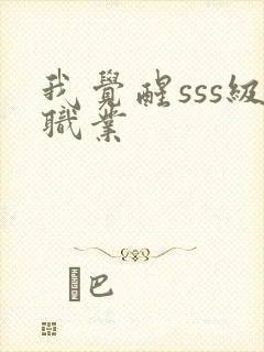 我觉醒sss级职业