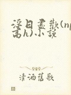 淫日尽欢(np高h)小说