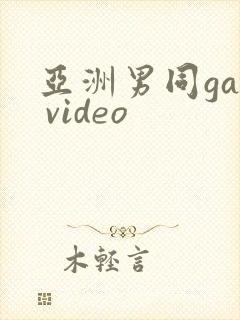 亚洲男同gay video