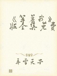 《等着我》完整版全集免费观看