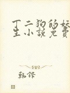 丁二狗的妖孽人生小说免费阅读全文封面