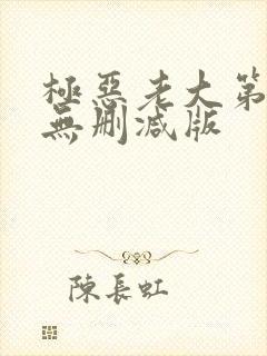 极恶老大第四季无删减版封面