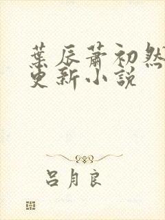 叶辰萧初然最快更新小说