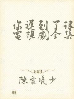 你迟到了很多年电视剧全集免费观看