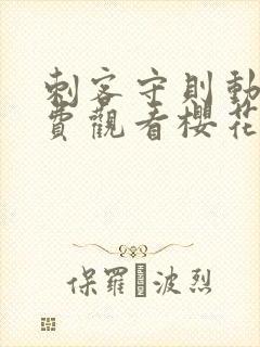 刺客守则动漫免费观看樱花动漫