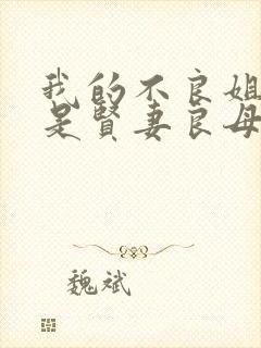 我的不良姐姐不是贤妻良母