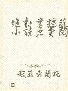 绝对掌控苏绵绵小说免费阅读全文封面