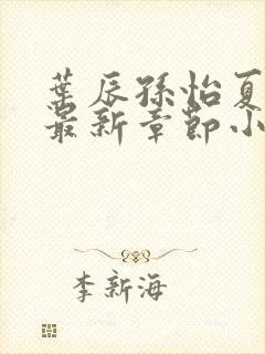 叶辰孙怡夏若雪最新章节小说心封面