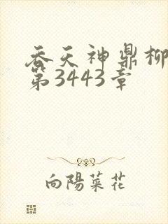 吞天神鼎柳无邪第3443章