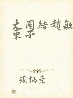 大团结赵敏陈三东子封面