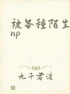 被各种陌生人 np