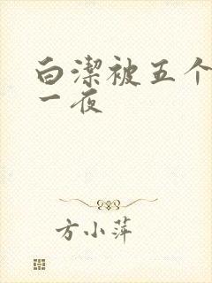 白洁被五个人玩一夜