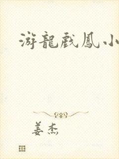 游龙戏凤小说封面