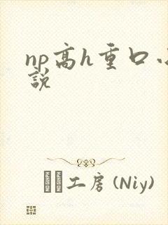 np高h重口小说