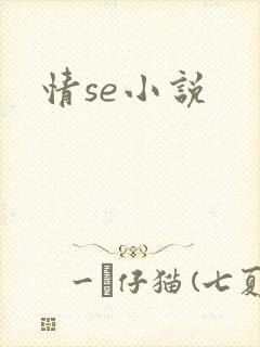 情se小说
