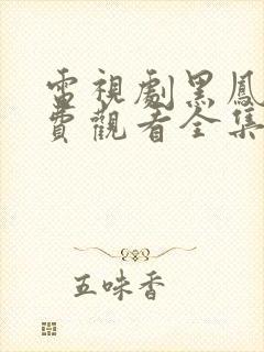 电视剧黑凤凰免费观看全集高清