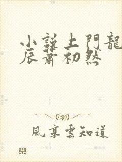 小说上门龙婿叶辰萧初然