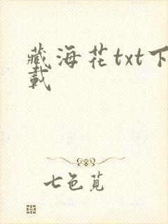 藏海花txt下载封面