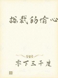 总裁的偷心娇妻封面