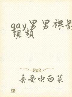 gay男男裸体视频
