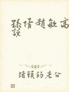 孙倩赵敏高义小说