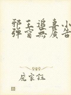 邪王追妻小说无弹窗无广告封面