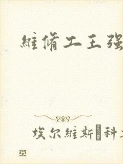 维修工王强张婷封面