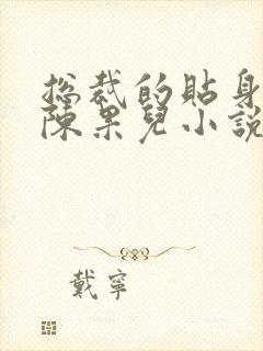 总裁的贴身秘书陈果儿小说封面