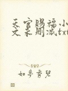天官赐福小说全文未删减txt
